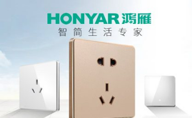 HONYAR鸿雁