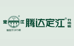 腾达定江