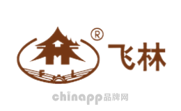 飞林
