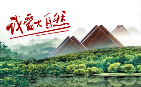 大自然地板