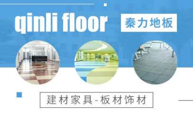秦力