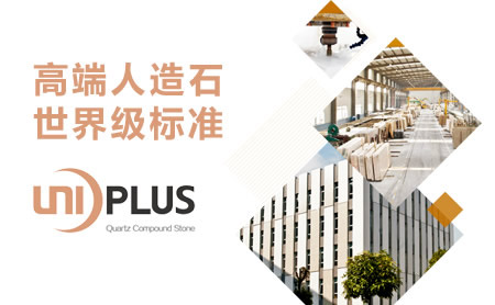 UNIPLUS