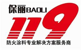 保丽119