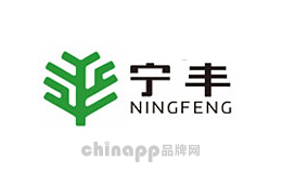宁丰