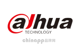 大华DAHUA