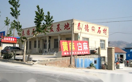 金质泰德