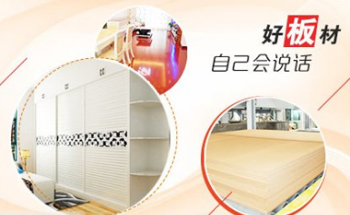 YONGAN永林蓝豹