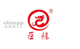 巨龙管业