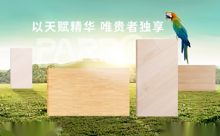 鹦鹉地板PARROT