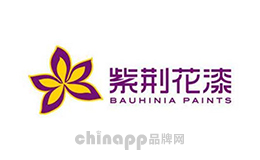 Bauhinia紫荆花漆